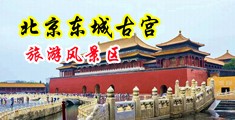 大长屌撸管中国北京-东城古宫旅游风景区